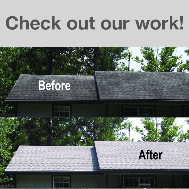 Titan Pro Wash Pressure Cleaning Chapin Columbia SC