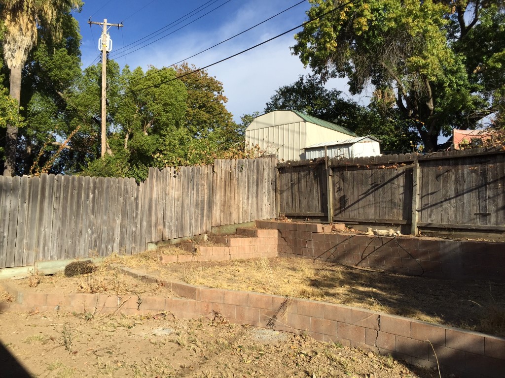 Best Tree Service Sacramento » Free Estimate » Licensed & Insured