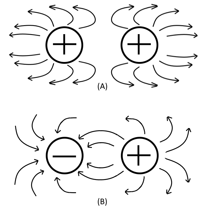 Blogs Science Static Electricity Nature of Charges