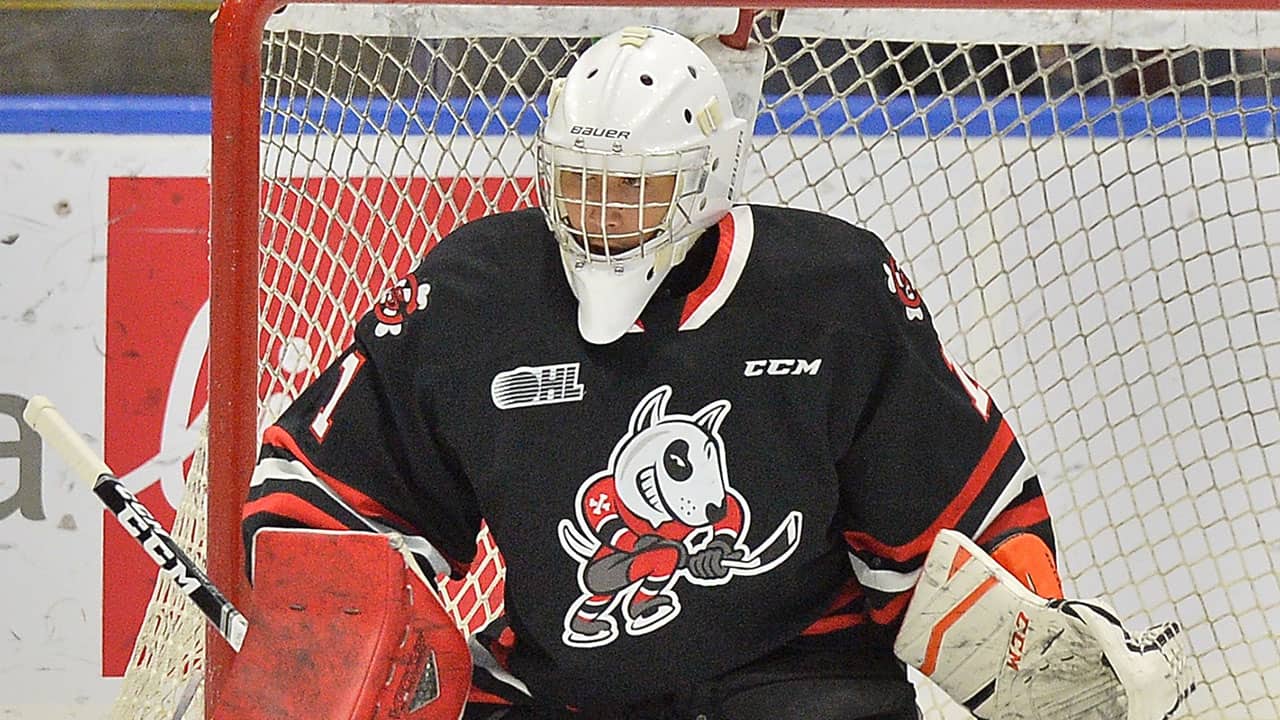OHL Goalie Tucker Tynan Accused Of Bookmaking And Betting His Own Games