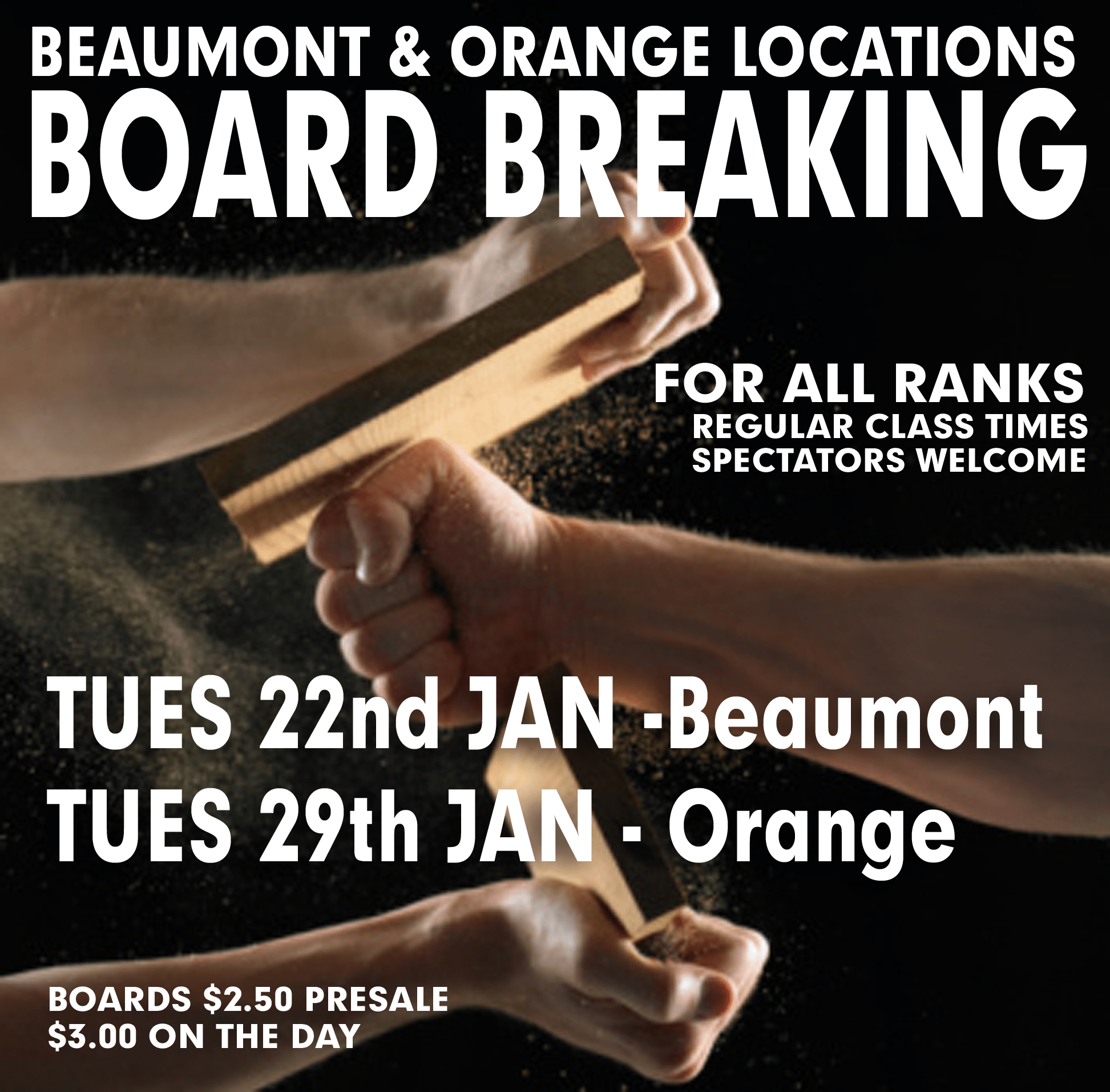 Board Breaking Lessons Tiger Rock Martial Arts