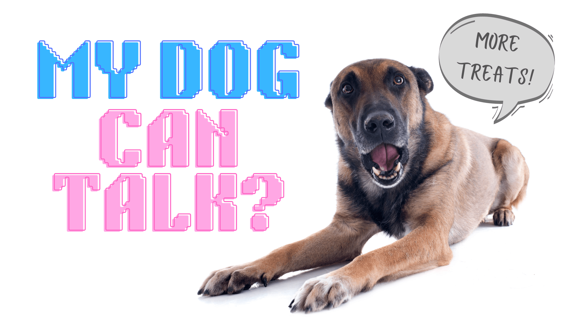 Can A Dog Talk