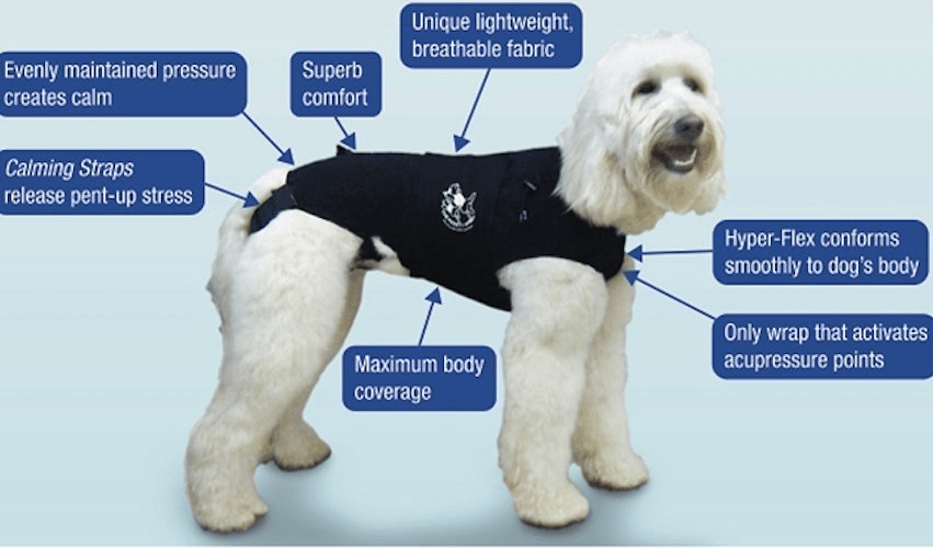 8 Best Dog Anxiety Shirt Easy and efficient solution to calm and