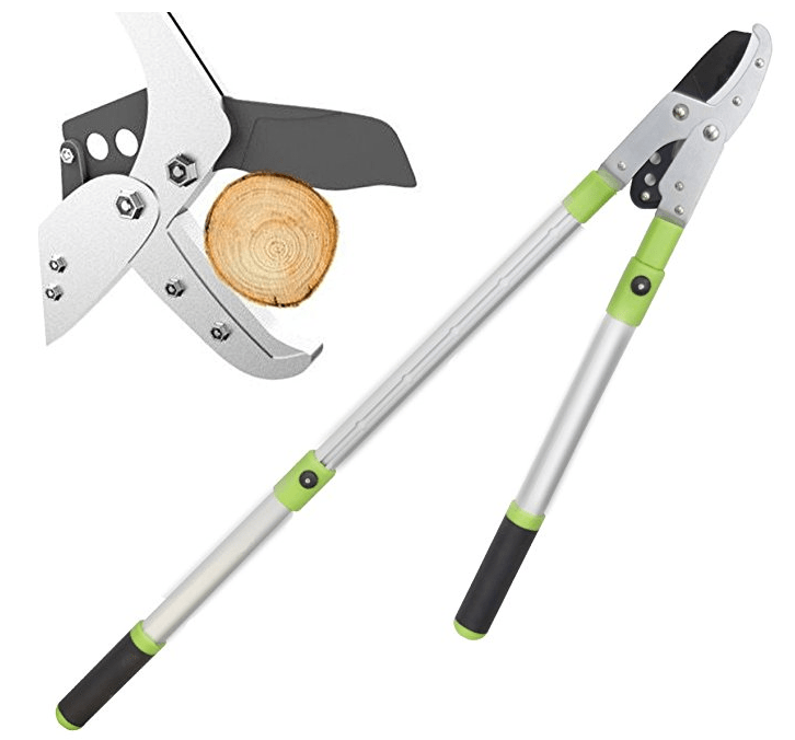 8 Best Anvil Lopper Essential tool for any home gardener Tool Box