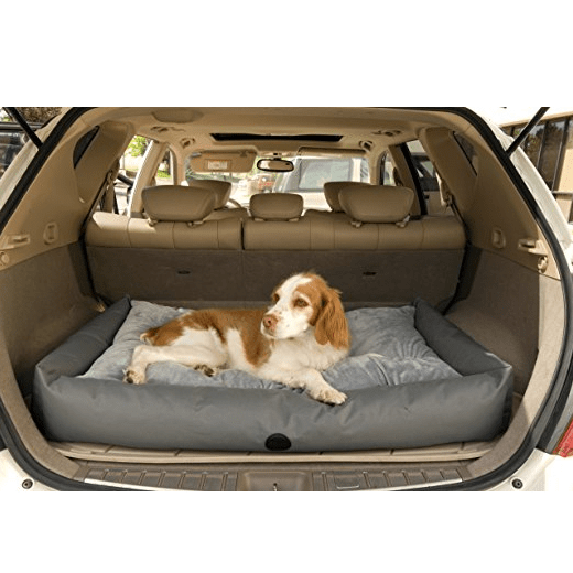 5 Best Travel Dog Bed A home away from home Tool Box