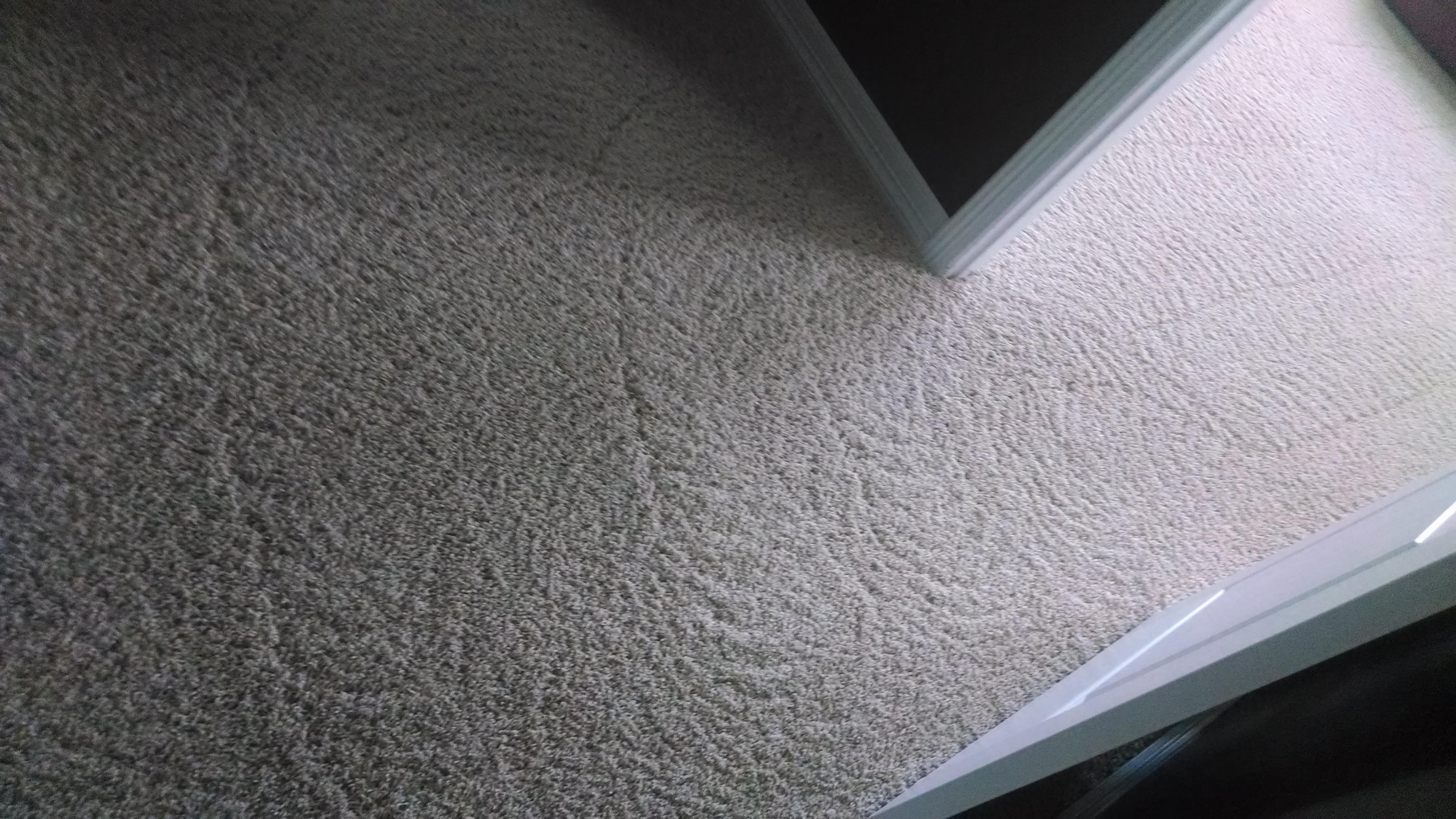 Carpet Cleaning Encapsulation Carpet Cleaning Castle Rock CO