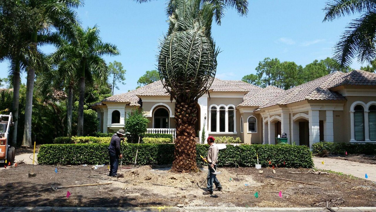 Landscaping Services Landscape Design TLC Lawn, Naples, FL