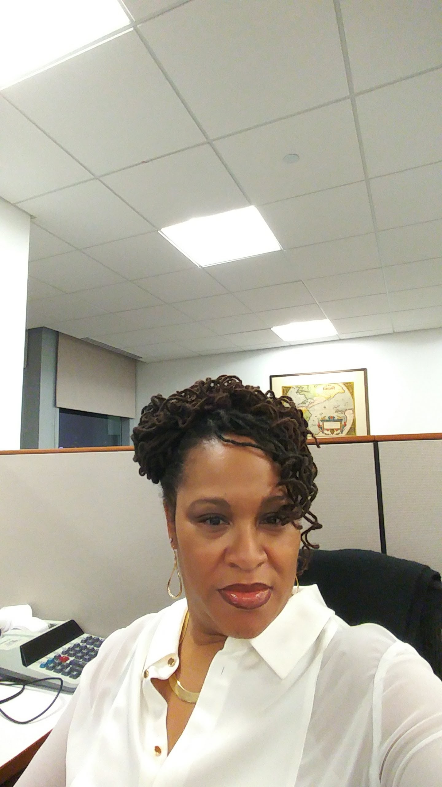 Introducing Area 71 Director Terrance Erwin, ACB, ALB Toastmasters