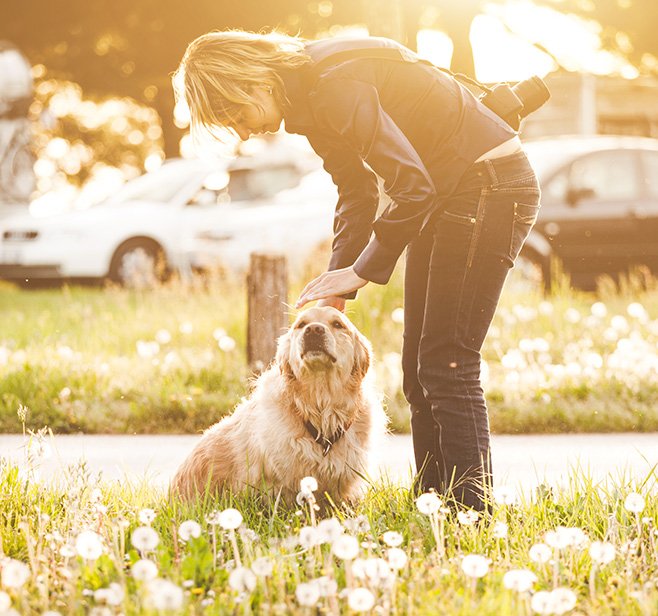 San Antonio Pet Sitting Service Pet Sitters in San Antonio