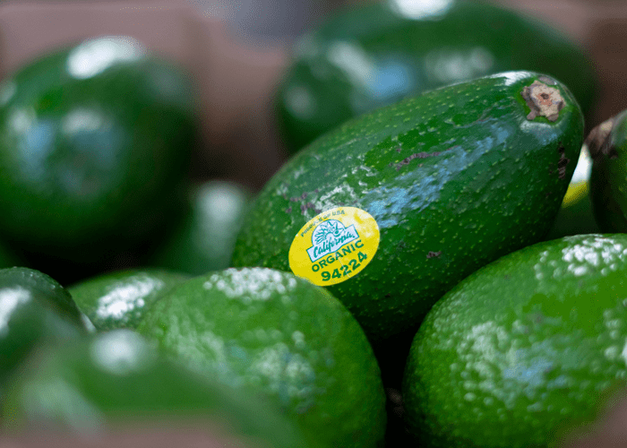 Del Rey Avocado TMD Creative