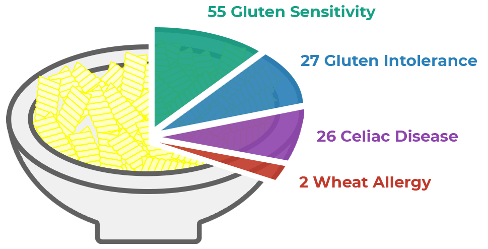 Gluten Intolerance Test My Intolerance Allergy Testing