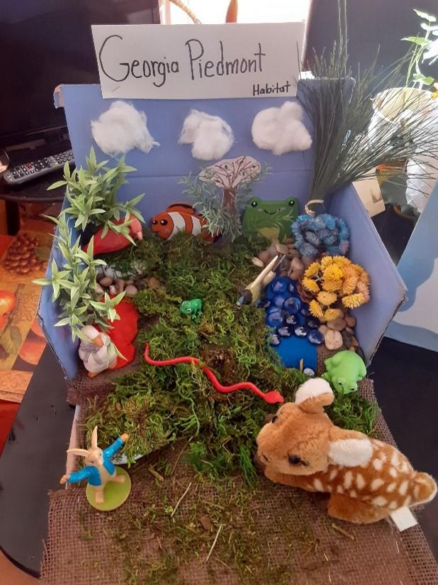 3rd Grade Science Enrichment Project Habitats with Mrs