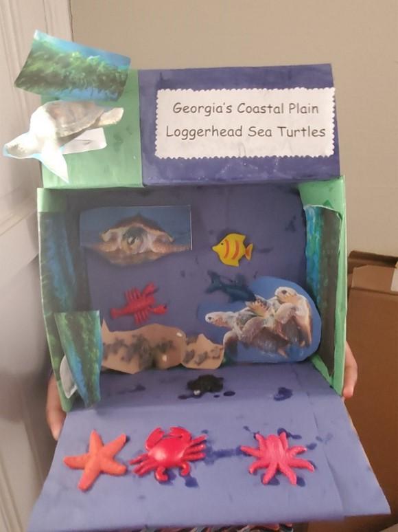 3rd Grade Science Enrichment Project Habitats with Mrs