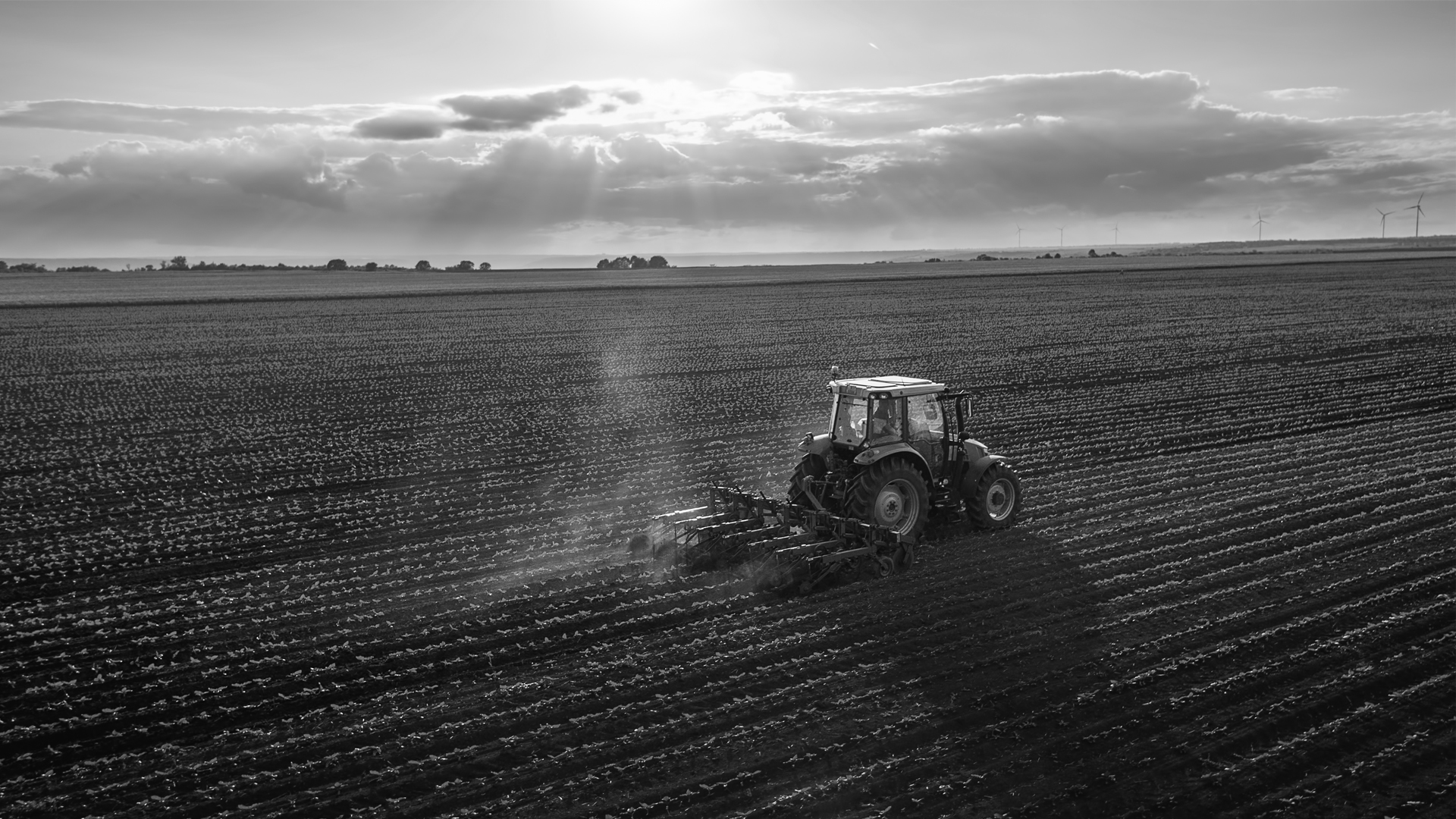 Strong Ties to the Agricultural Community Taylor, Schneider