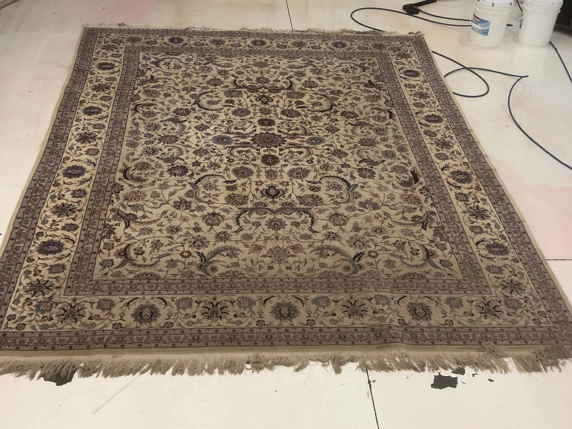 Area Rug Cleaning TNT ChemDry