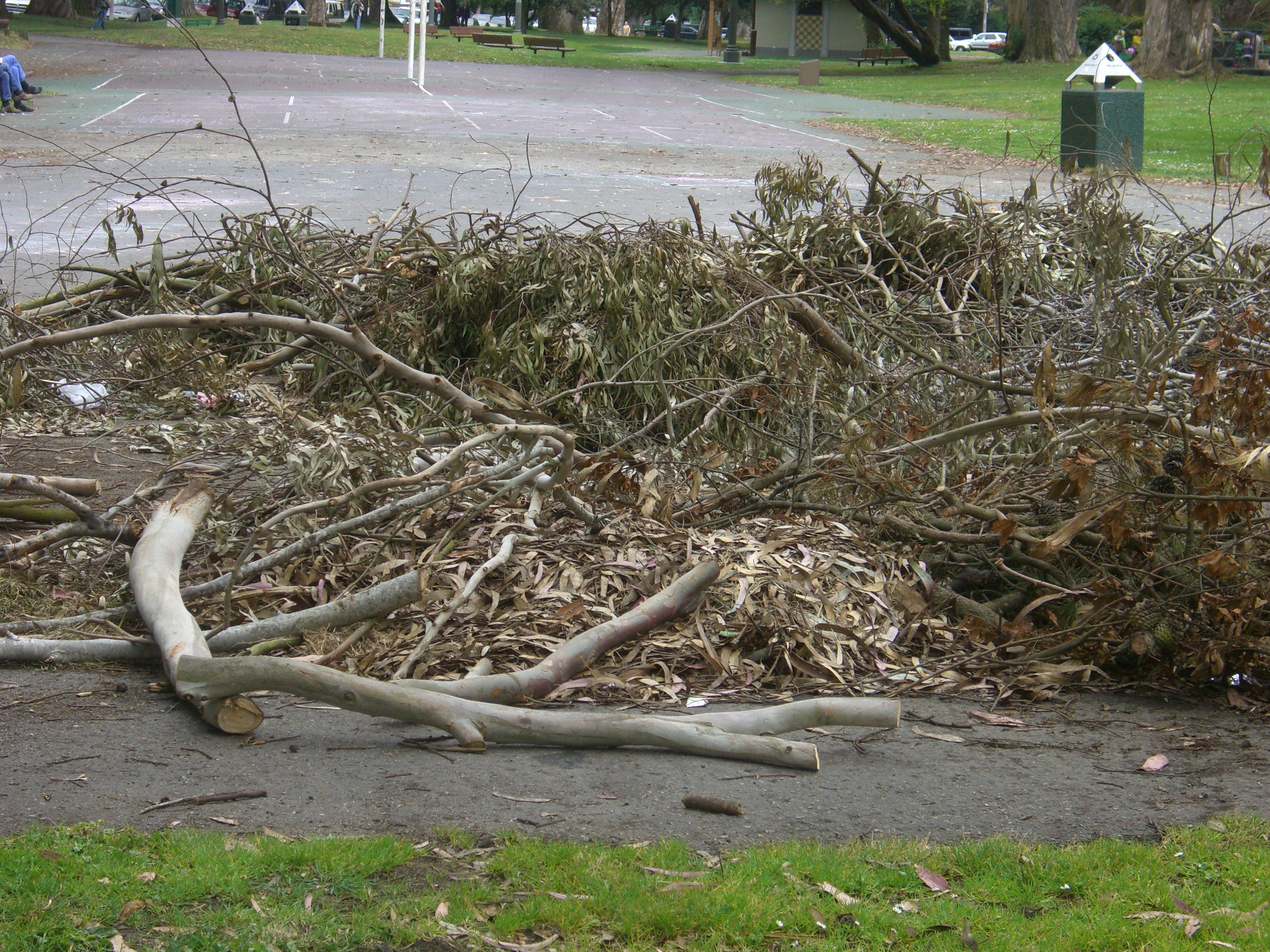 Closeup of trash pile in the Panhandle where the 2007 summer Panhandle