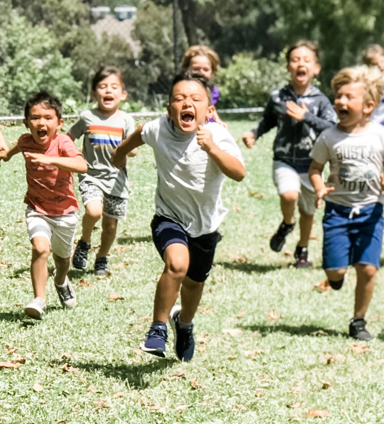 RANGERS Tocaloma Summer Day Camp