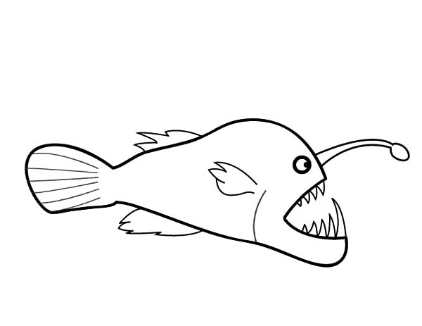 Drawing Angler Fish Coloring Pages Best Place to Color