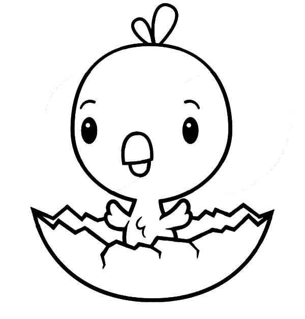 Chick Coloring Pages: Free Printable for Kids Love Our.