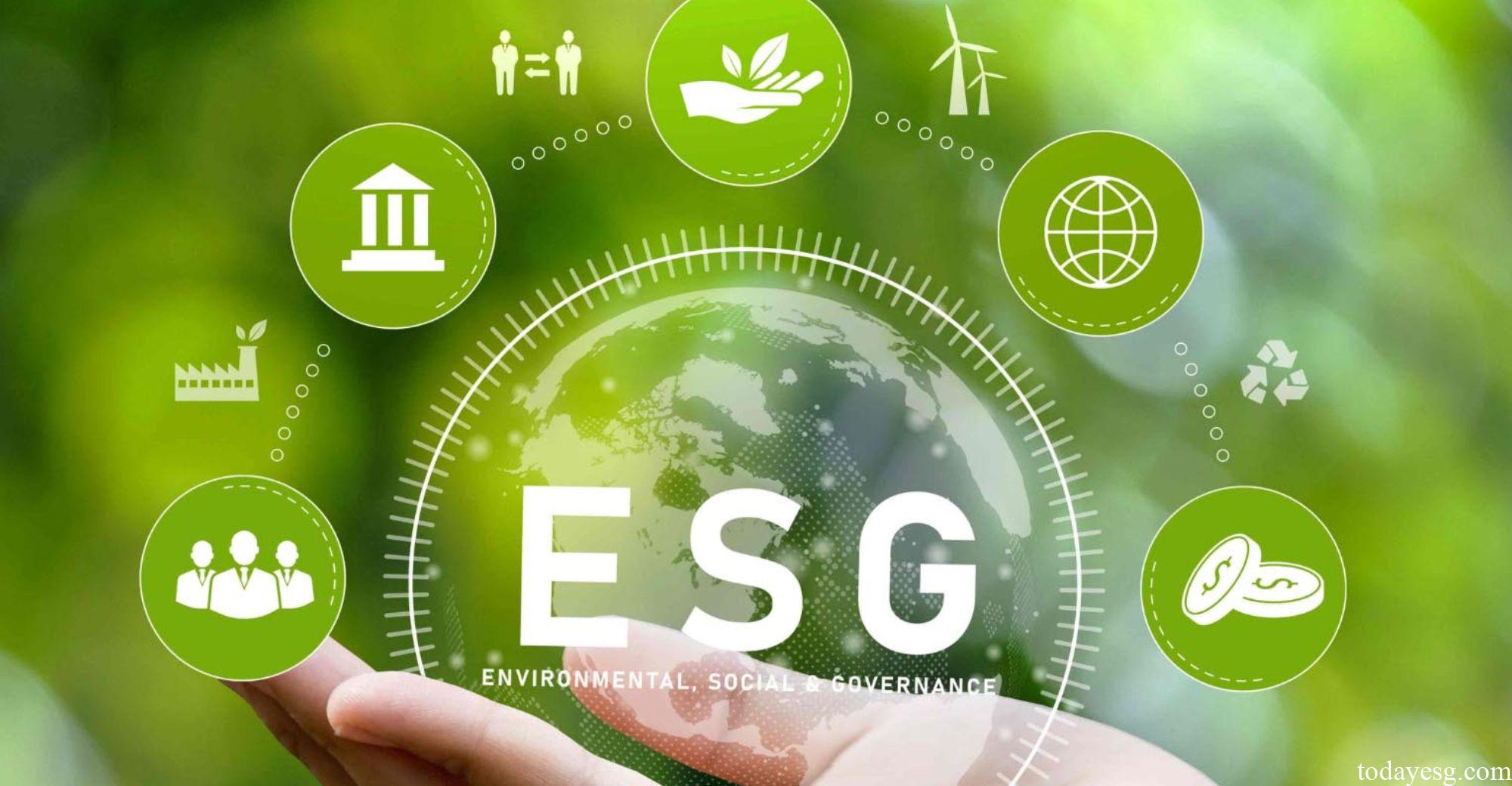 Early Development and Longterm Value of ESG Investment ESG