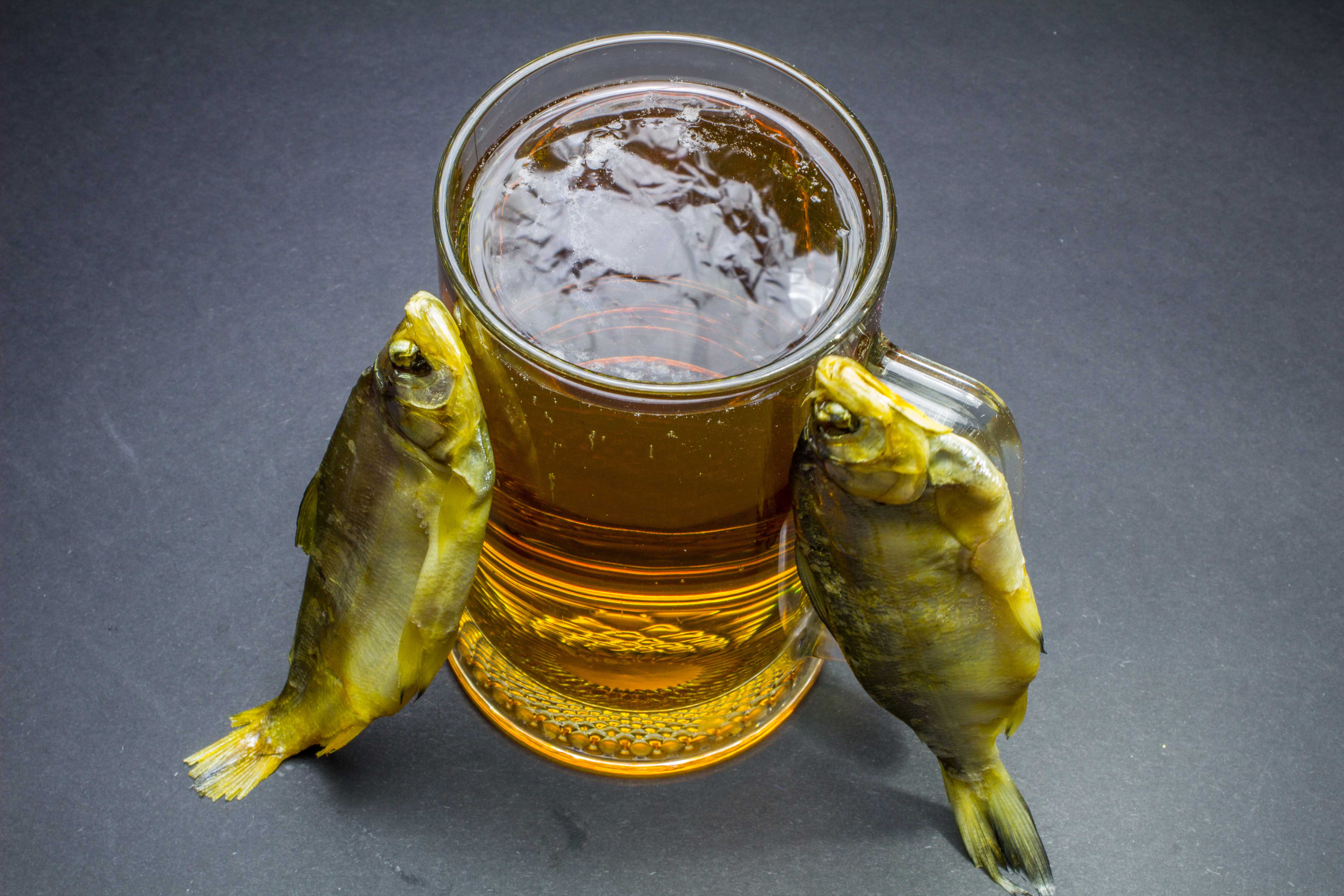 Can Fish Get Thirsty and Why Can't Freshwater Fish Live in Saltwater