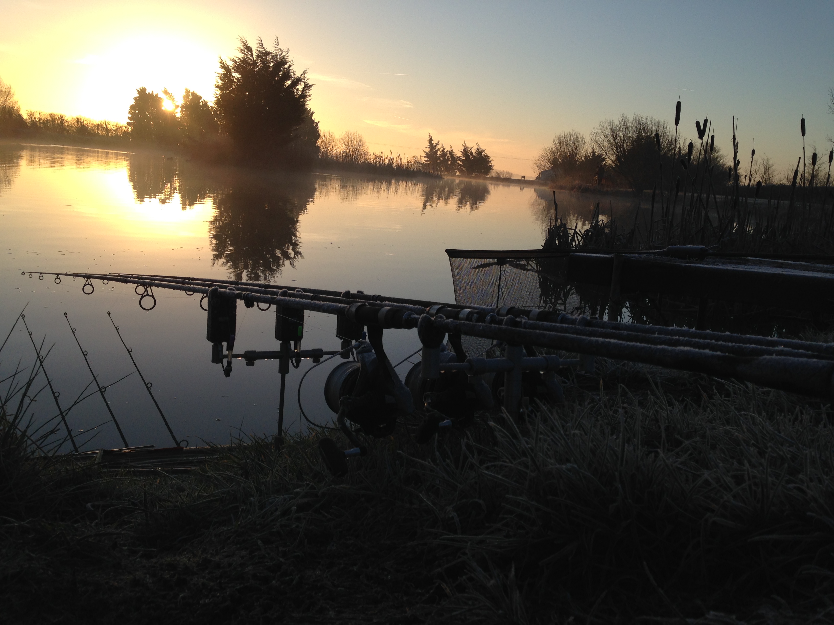 Paddock Specimen Lake
