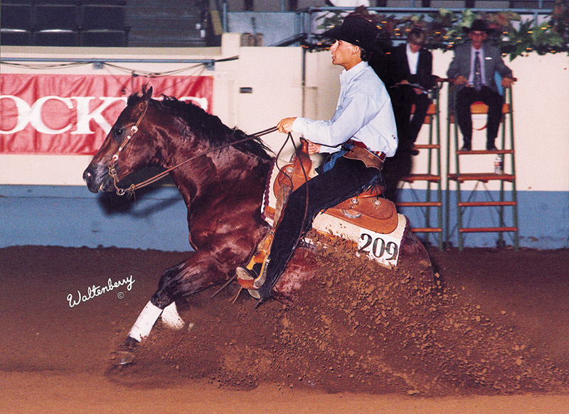 TODD BERGEN PERFORMANCE HORSES