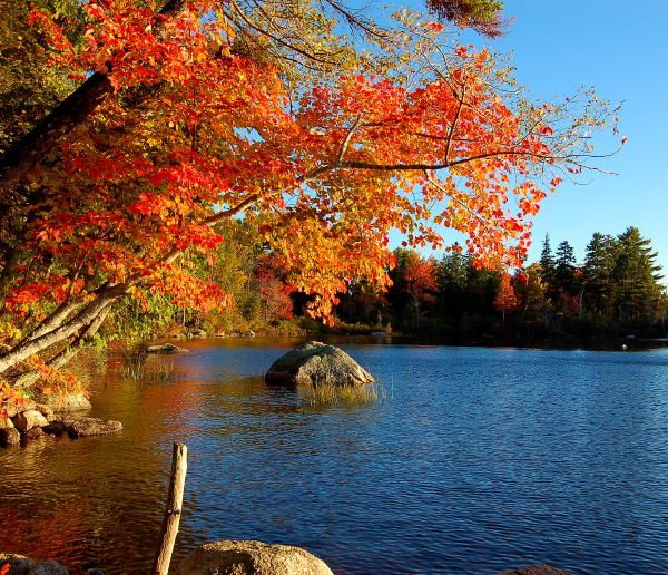 Downeast Maine Vacation Rental Near Bar Harbor and Acadia Lakefront