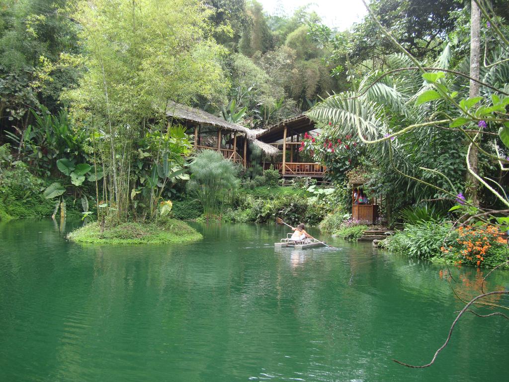 Mindo Ubicaciones de artículos Directorio del Ecuador