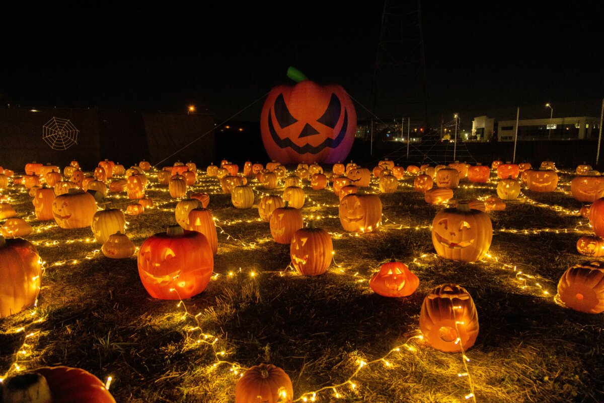 Illumi Mississauga Turns Spooktacular with a Dazzling Halloween Show