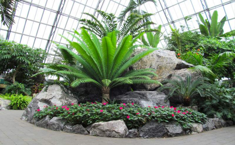Muttart Conservatory Edmonton Alberta Canada A Trip Guide