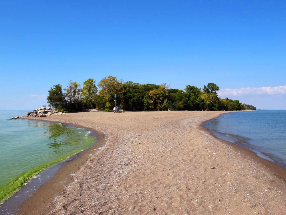 Things to Do at Point Pelee National Park