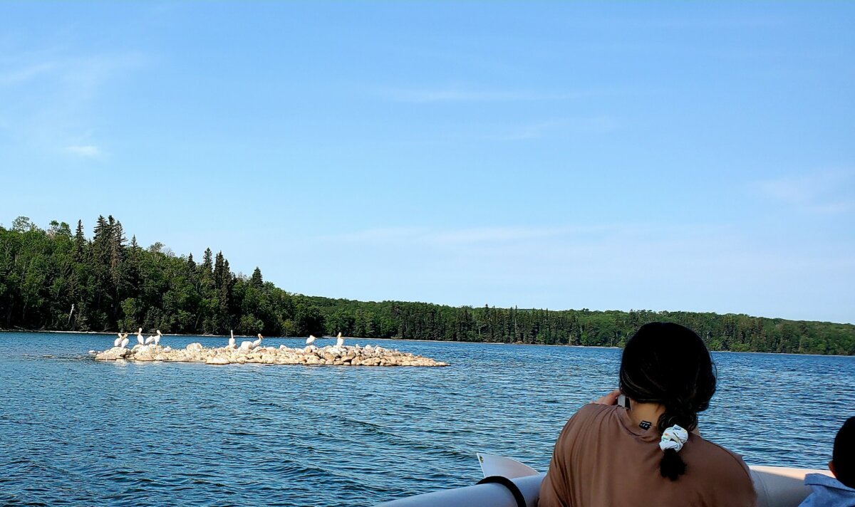 14 Fun Things to Do During Summer in Cold Lake