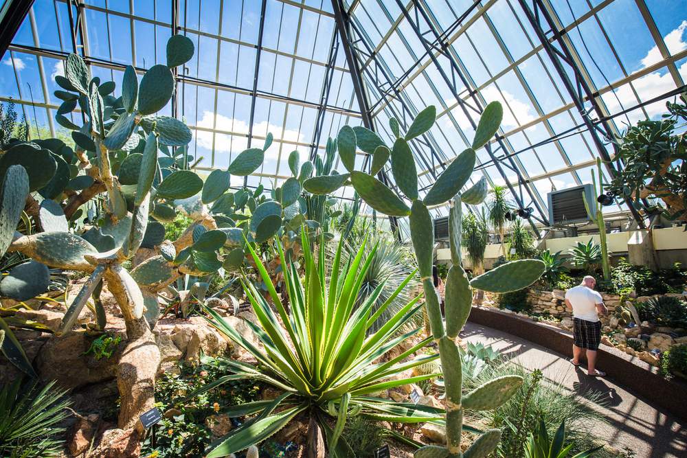 12 of the Best Gardens & Conservatories to Visit in Alberta To Do Canada
