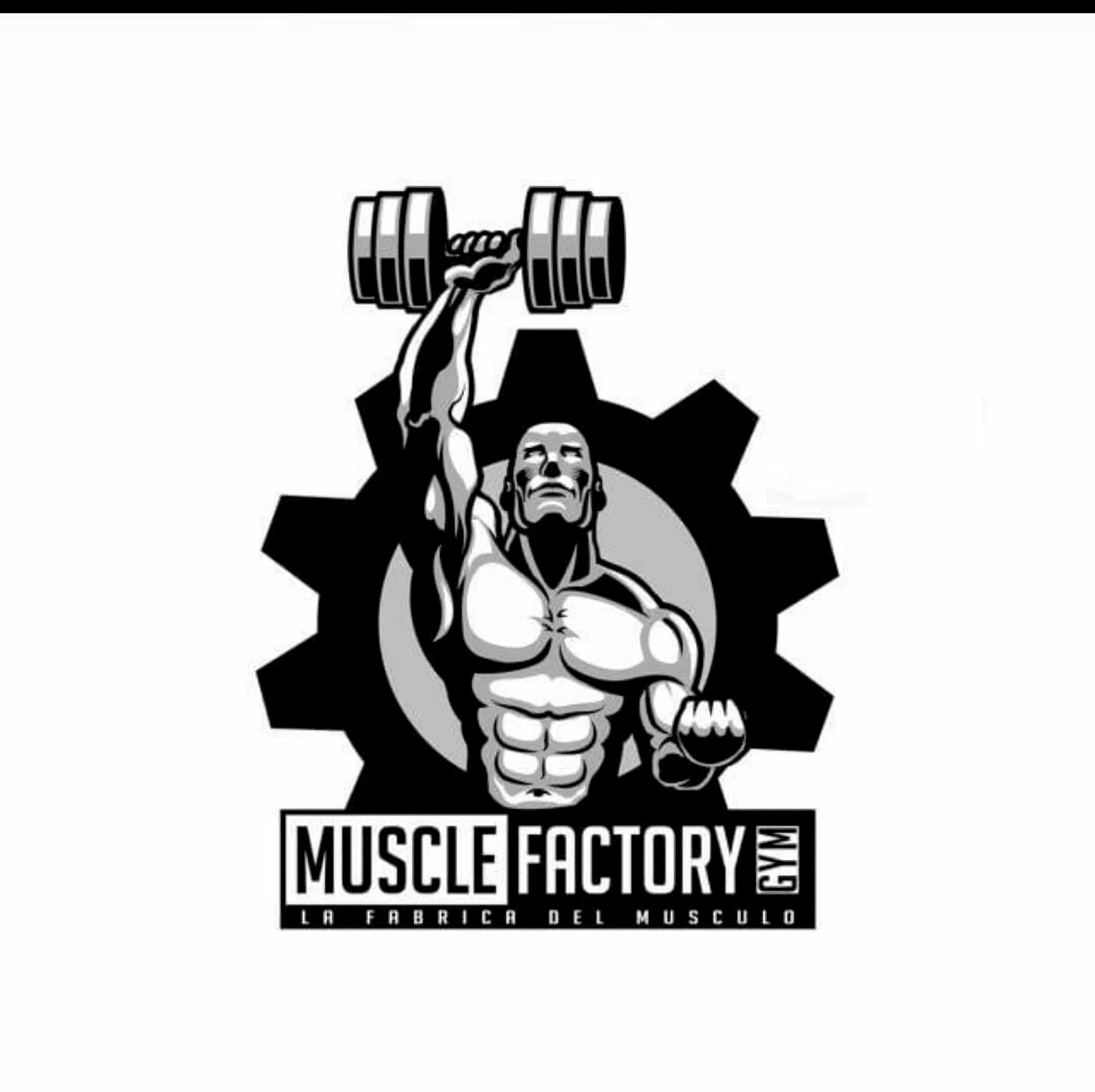 Muscle Factory Gym