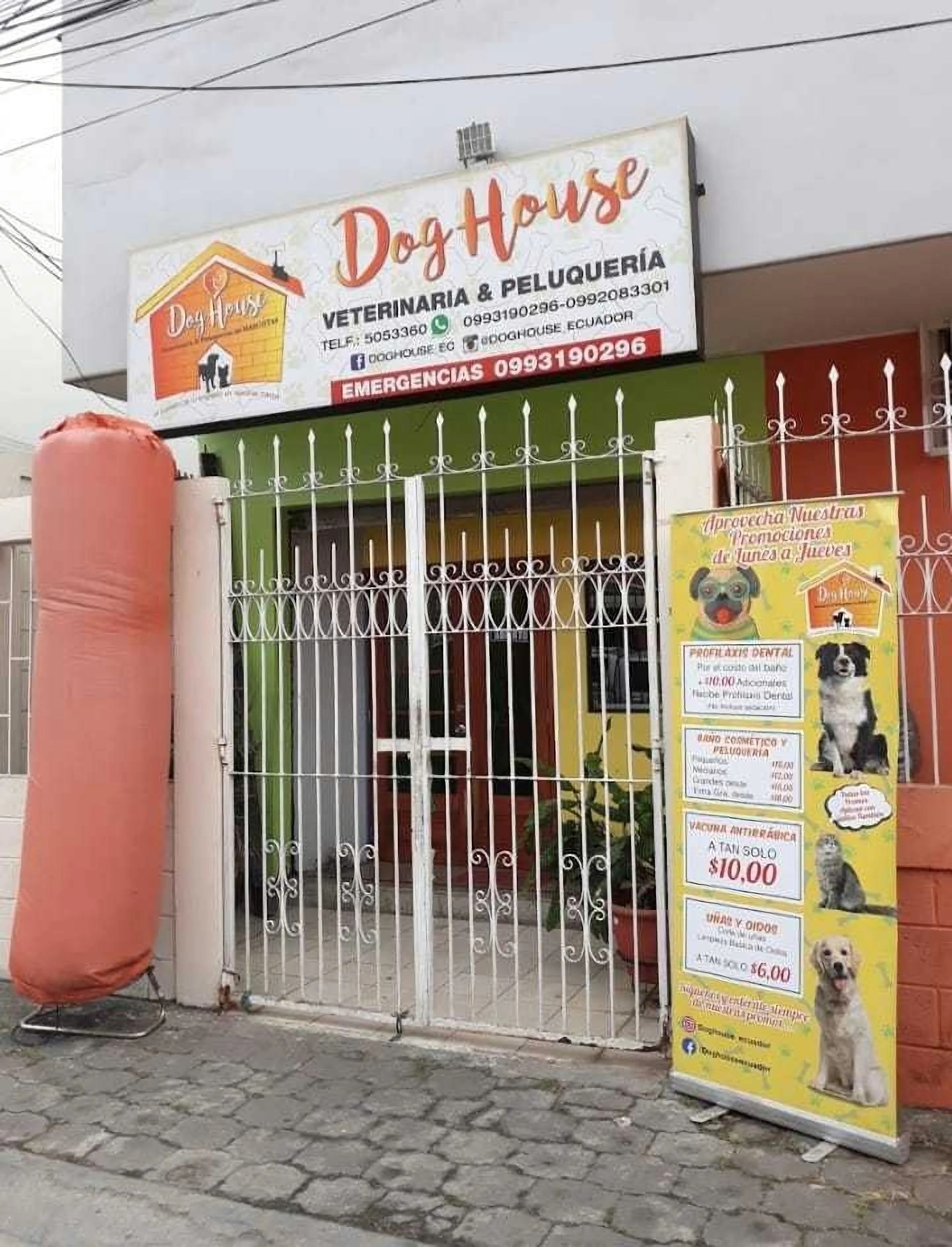 Doghouse Ecuador