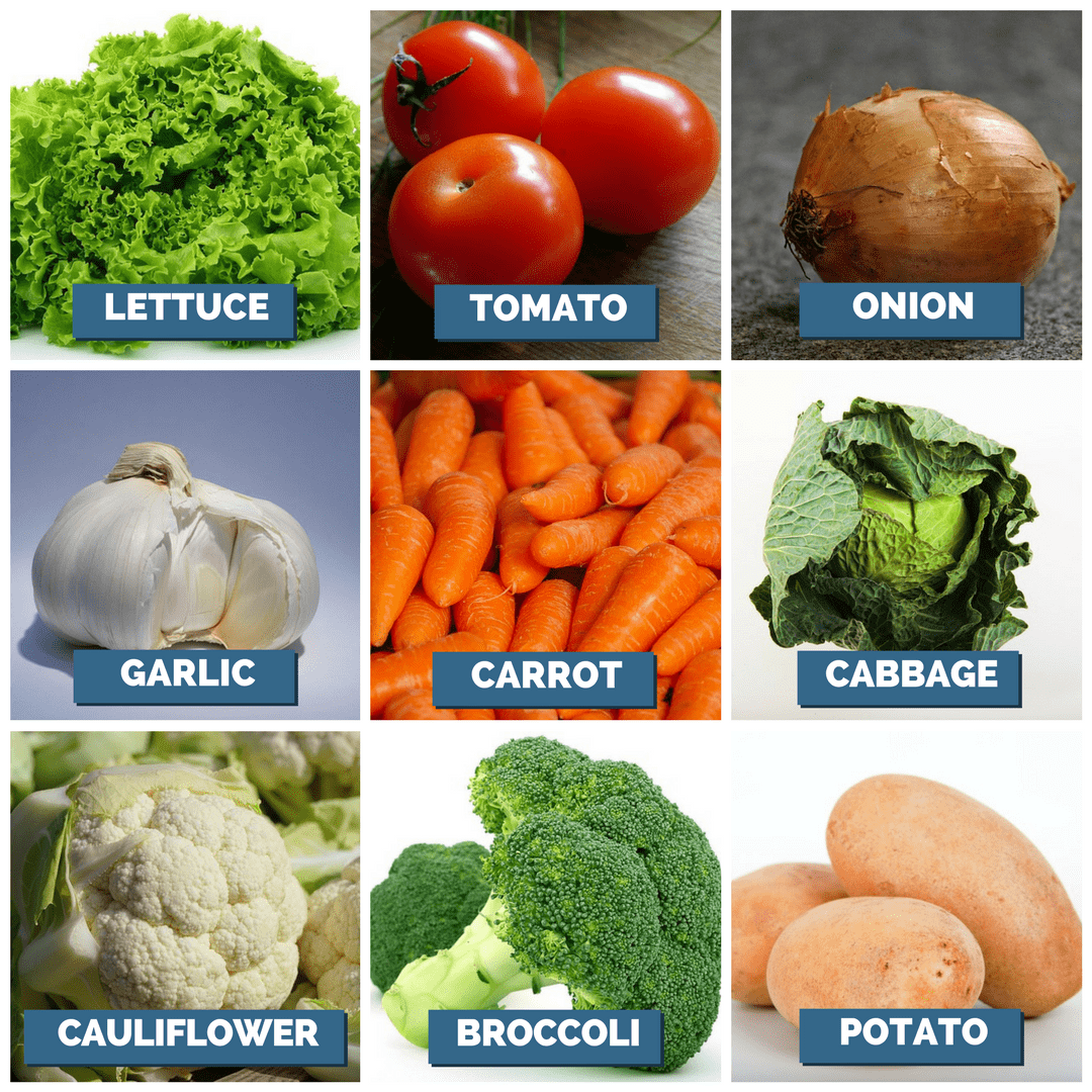 10 Nombres De Verduras En Ingles eco