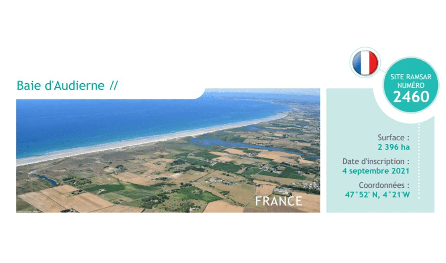 La Baie d'Audierne obtient le label Ramsar ! Toile de mer