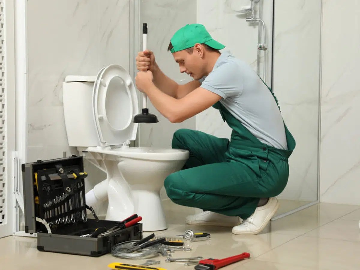 How To Fix a Toilet 2024 DIY Master Guide