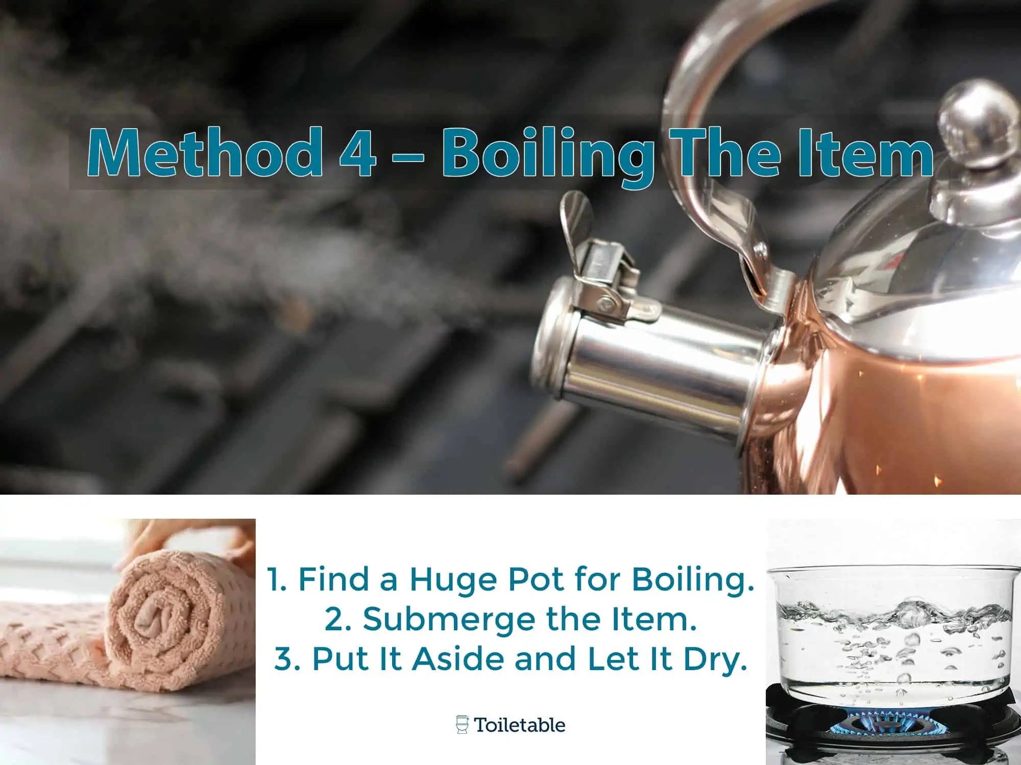 Something Fell into the Toilet (Disinfect Guide) StepbyStep