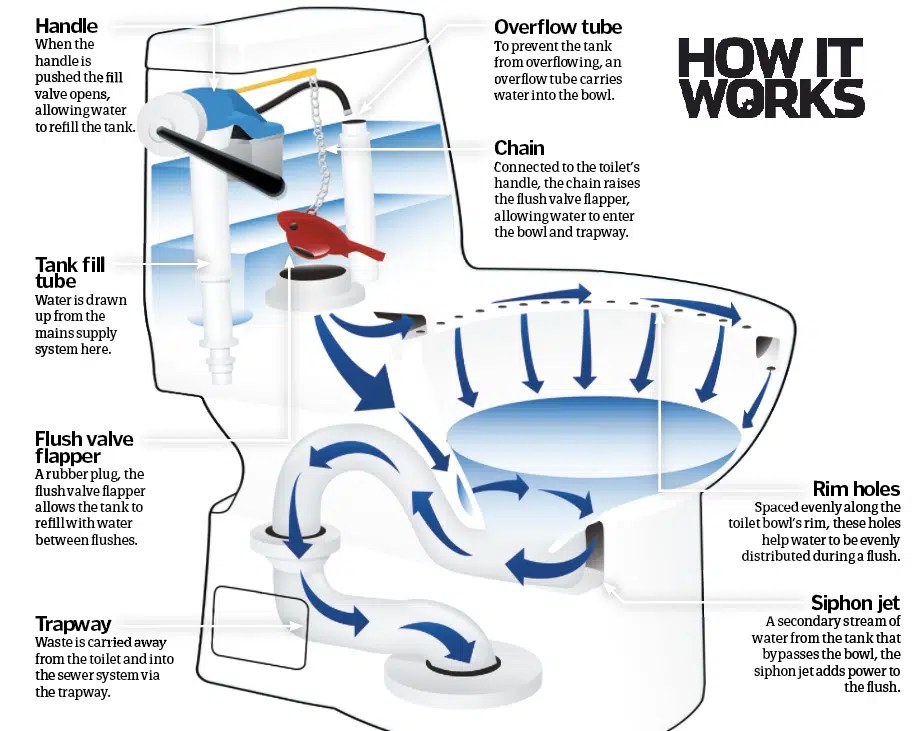 Powerful Flushing Toilets (Strong Flush) 10 Reviews Toiletable