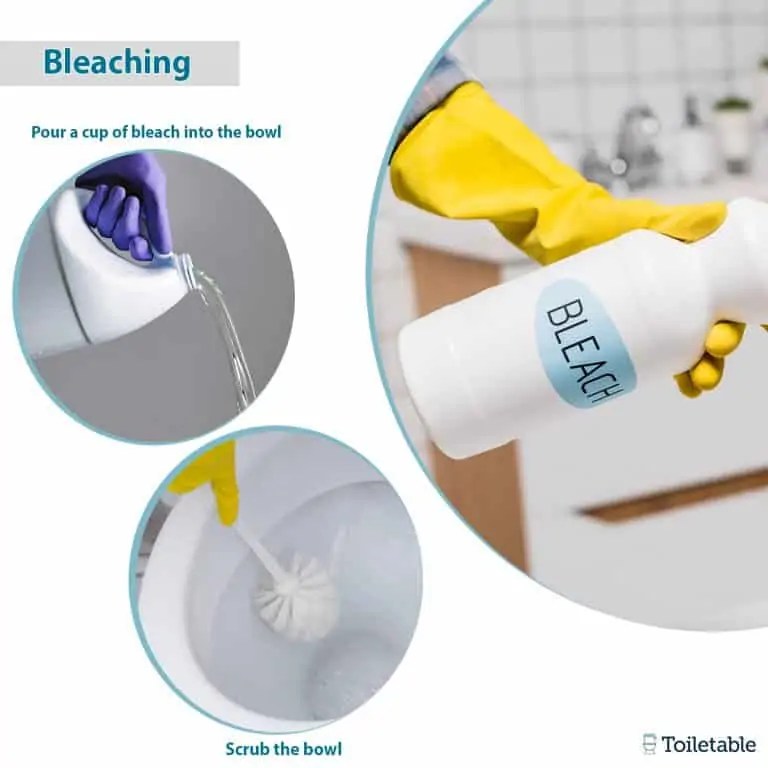 Toilet Bowl Ring Guide Toiletable