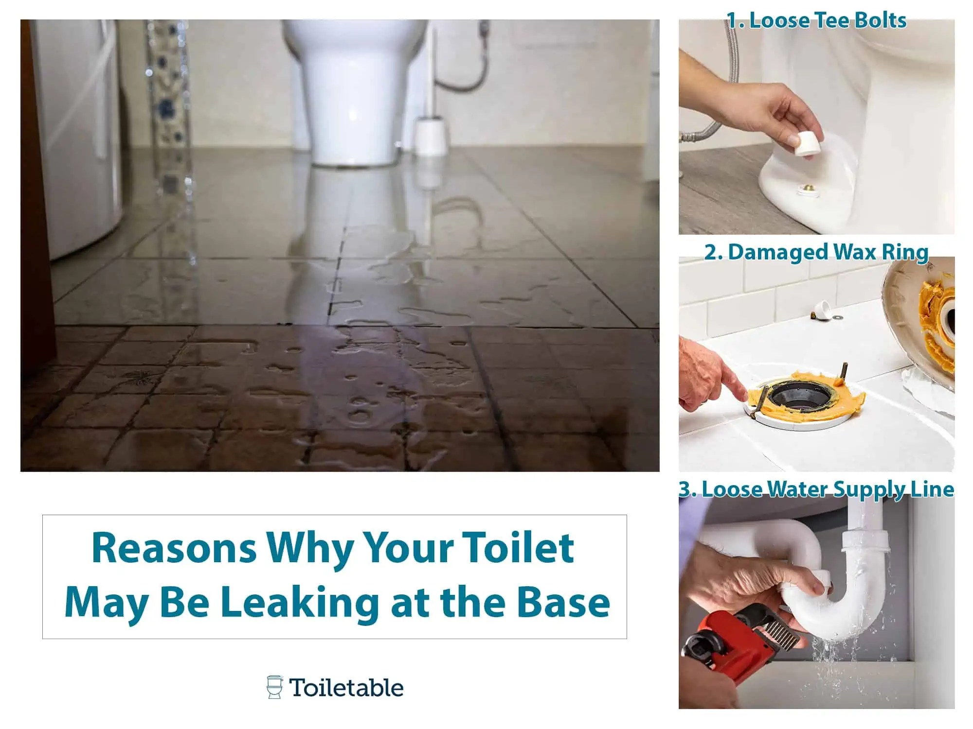 Fix a Toilet Leaking from Base Homeowner Simple Fixes