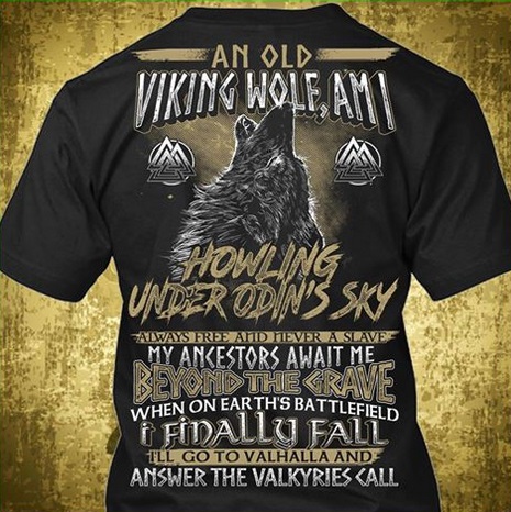 Shirt Stains: Stupid Viking Shirts 