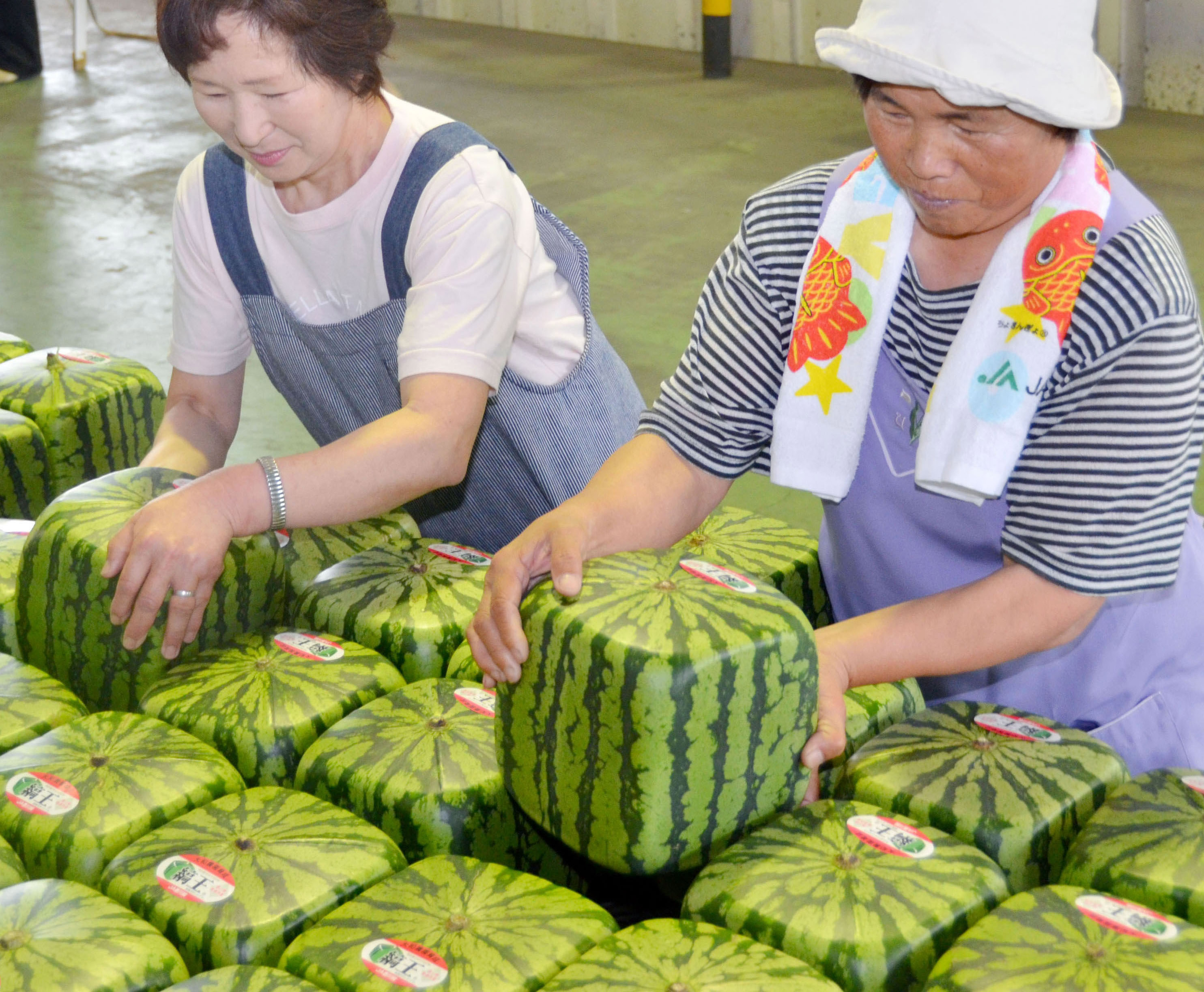 Cubic fruit grown in Japan The Blade