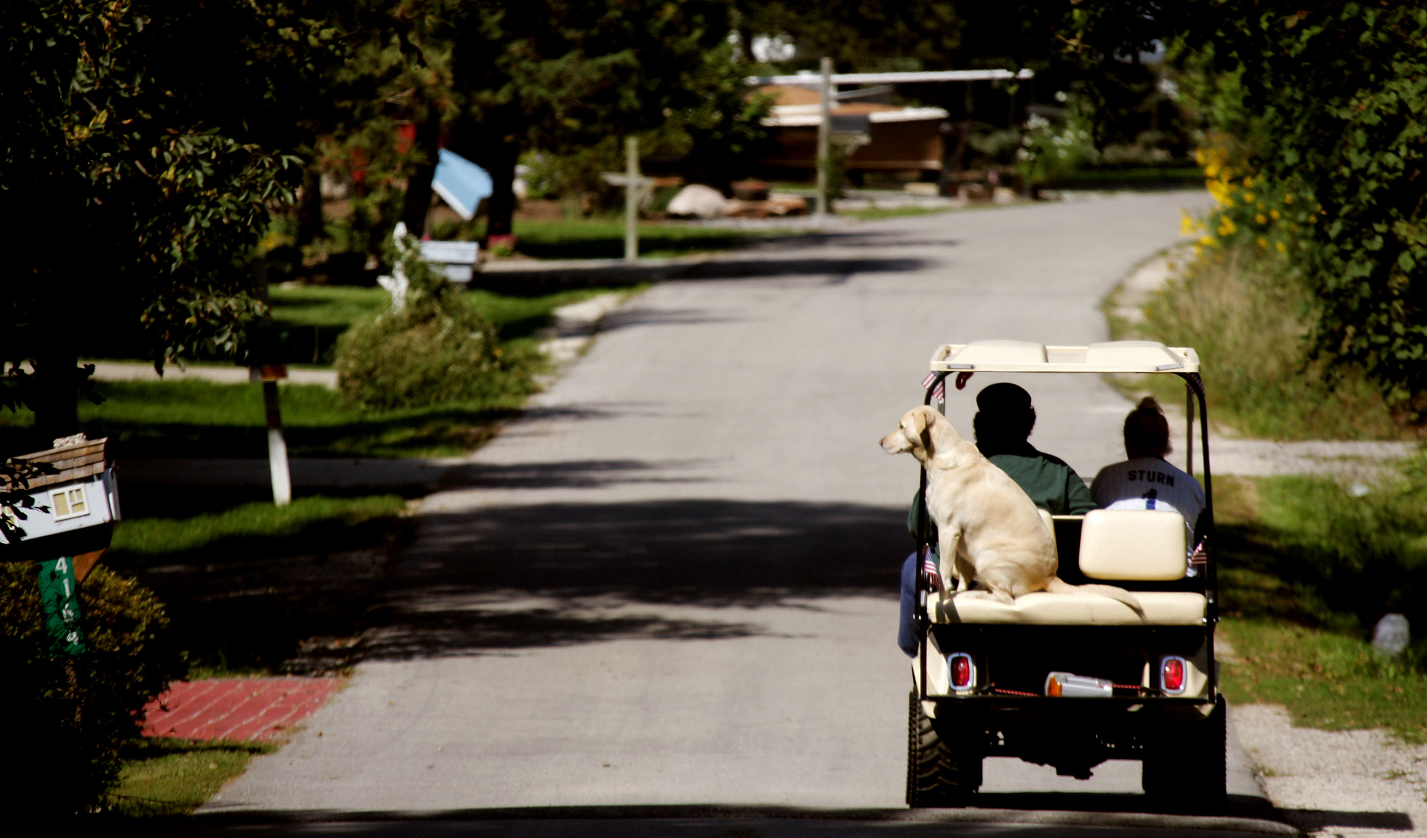 Golf carts OK’d for Toledo streets in some areas The Blade