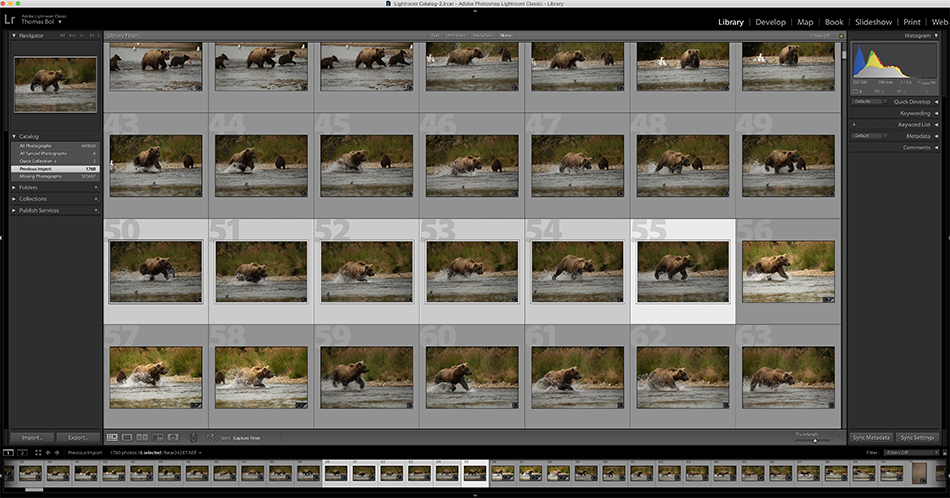 Auto settings in Lightroom Tom Bol Photography, LLC