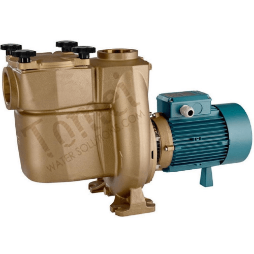 Salt water pump with filter basket Calpeda BNMP 32/12A/A Bronze