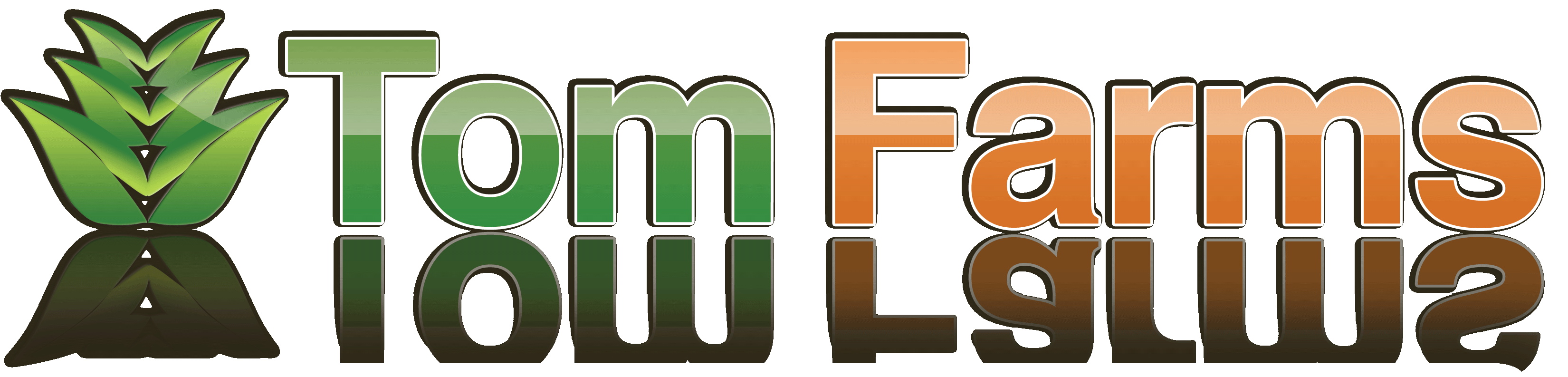 Tom Farms Leesburg Indiana