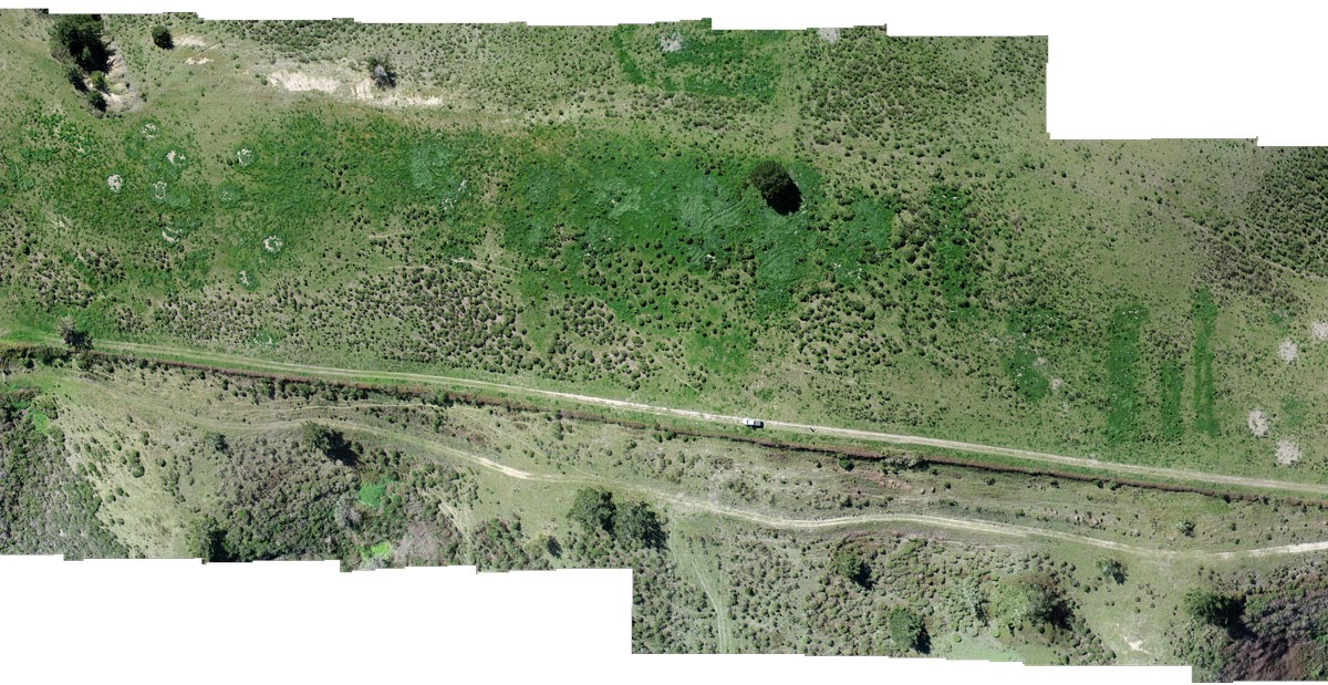 Home TomKat Ranch Educational Foundation